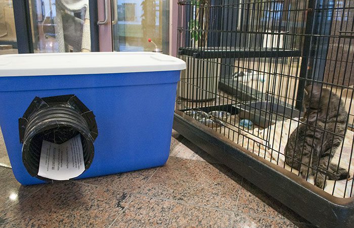 Joint effort by TAS, Toronto Humane Society and Toronto Feral Cat TNR Coalition built numbers of winter shelters. The shelters were distributed by the groups throughout Scarborough.
